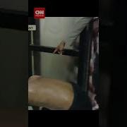 Anak Kecil Diperkosa