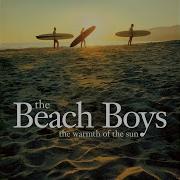 Hawaii The Beach Boys