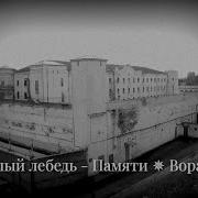 В Белый Лебедь Памяти Ворам