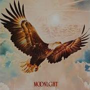Free Bird Moonlght