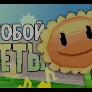 За Тобой Цветы Час