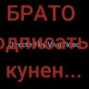 Махмадали Умар 2018