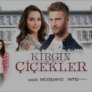 Ana Tema Kirgin Cicekler