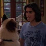 Dog With A Blog Stan Dance Rock And Roll