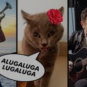 Please Go Away Feat Alugalug Cat 2 0