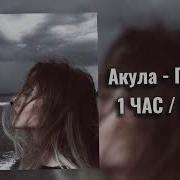 Акула Позвони 1 Час