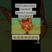 Муд Три Кота Ржу Уже 5 Часов