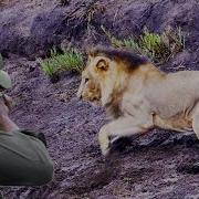 Shumba