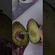 나체 스시 뇨타이모리