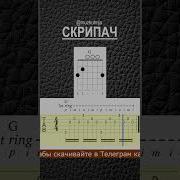 Красивый Скрипач