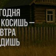 Травы По Пояс