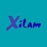 Xilam Logo Effects