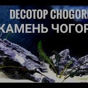 Серая Гора