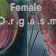 Women Orgasm