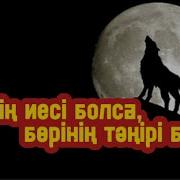 Шіркін Итім Болса