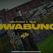 Cowabunga Qantreez X Челс Sight By Sight