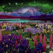 Infinite Bassnectar