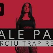 Dale Papi Remix