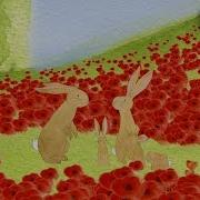 Poppies