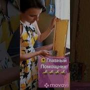 Пчелы 2023
