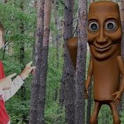 Ту Ту Тун