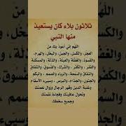 استوريات
