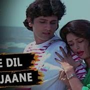 Tere Dil Ki Tu Jaane Mp3