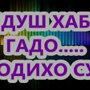 Хабиб Мулло