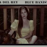 Text Book Lana Del Rey