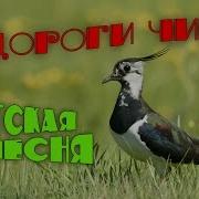 У Дороги Чибис Детский Хор