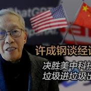 许成钢