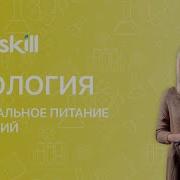 Биология 6 Класс 18 Параграф Минеральное Питание Растений Удобрения