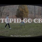 Go Crazy Ahh Go Stupidy