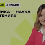 Изучение В Начальной Школе Ботаника Как Наука