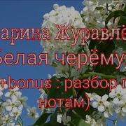Белая Черемуха Под Баян
