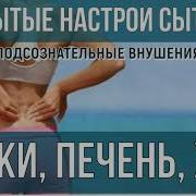 Настрой На Печень Почки И Жкт