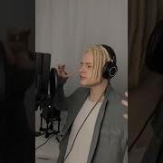 Шаман Дельтаплан Студийная Запись