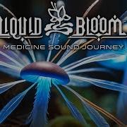 Medicine Sound Journey