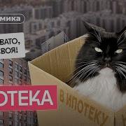 Ну Зачем Я Брал Ипотеку