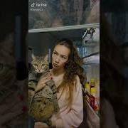 Сыру Хочешь Или Котлету Мультик