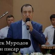 Чурабек Муродов Писар