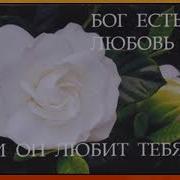 Любовь Изучают Любовь Признают