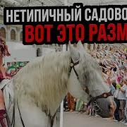 Садовод
