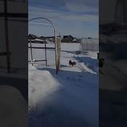 Наконец То Я Приехал На Свою Дачу