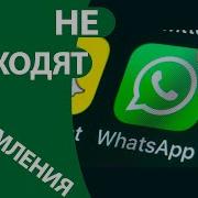 Не Приходят Уведомления С Ватсапа