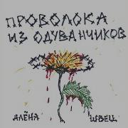 Ромочка Алена Швец