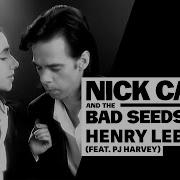 Nick Cave