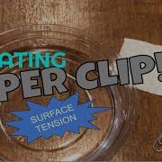Paperclip Adhesion