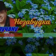 Ион Суручану Незабудка Синтезатор