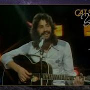 Wild World Cat Stevens 1970